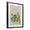 Stupell Industries Hidden Gems Botanicals Framed Print Under Glass, design by Grace Popp